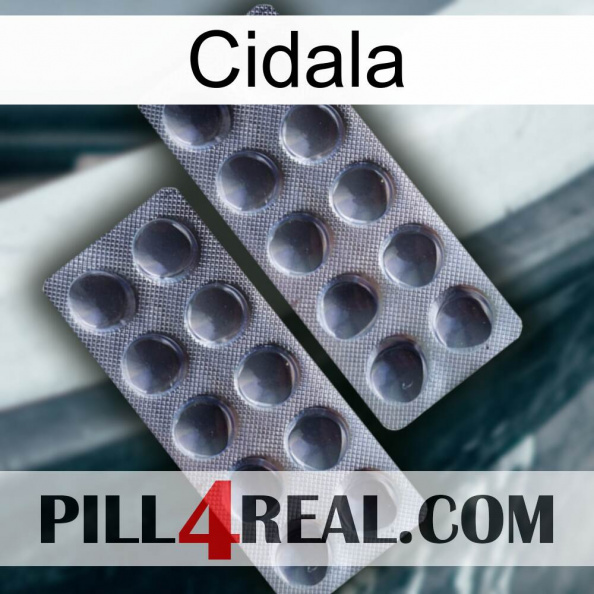 Cidala 31